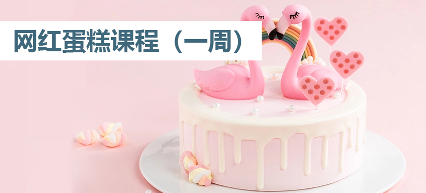 网红蛋糕课程